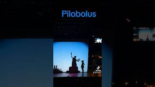 Microdose Pilobolus from Shadowland finale [upl. by Ginnifer]