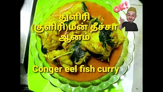 Conger eel fish curry துளிரி குளிரி மீன் தீச்சா ஆனம் வீடே மனக்கும் ஒரு முறை இப்படி செஞ்சி பாருங்க [upl. by Primrosa]