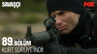 Kurt sürüye indi Savaşçı 89 Bölüm [upl. by Fabron]