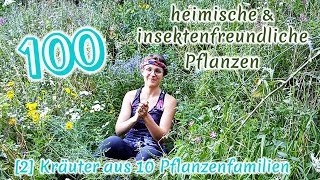 100 heimische amp insektenfreundliche Pflanzen 24 Pflanzen und Standortkunde  BestäuberWissen [upl. by Colley]