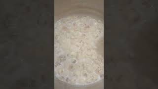 makhana ka kheer [upl. by Cordy]