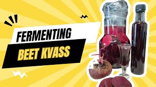 Beet Kvass Recipe [upl. by Streeter]