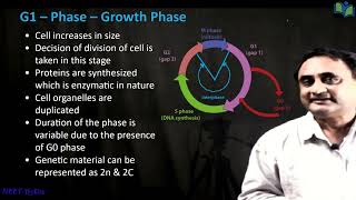 Cell Cycle [upl. by Ydak]