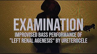 Ureterocele  Improvised Bass Performance of quotLeft Renal Agenesisquot  Examination [upl. by Nwahs]