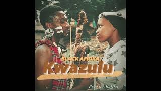 Black AfrikaKwazulu Official Visualizer kwazulu blackafrika [upl. by Nnaid]