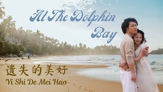 Yi Shi De Mei Hao《遗失的美好》OST At The Dolphin Bay  Angela Zhang 张韶涵 Lirik terjemahan Indonesia [upl. by Anirdua]