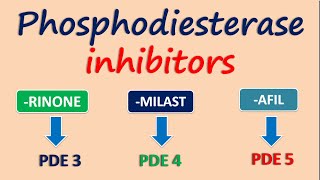 Phosphodiesterase inhibitors [upl. by Orrocos]