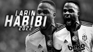 Cyle Larin • Habibi  Skills amp Goals  HD [upl. by Notxap]