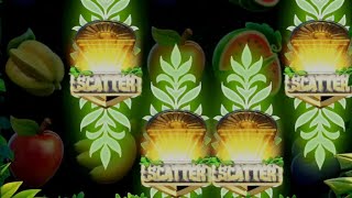 Yono games jungle delight slots gameplay big win [upl. by Grazia382]