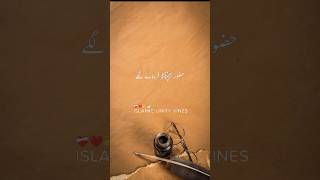 ISLAMIC UNITY VINES islamicvideo bestshort bestislamicstatus [upl. by Salter890]