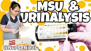 MSU amp URINALYSIS  NMC OSCE 🇬🇧 nurseniezl niezl2023 [upl. by Bocock]