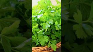 Health benefits of parsley [upl. by Leaffar646]