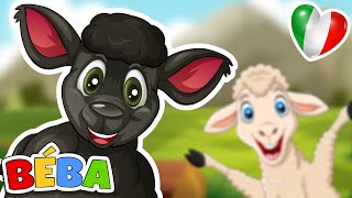 Baa Baa pecora nera  Whiskey il Ragnetto  Canzoni per Bambini in italiano  BÉBA [upl. by Trini120]