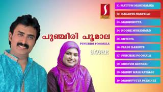 Punchiri Poomulla  പുഞ്ചിരി പൂമുല്ല  Latest Mappila Patrtukal  Mappila Album Songs  upload 2016 [upl. by Patterman152]