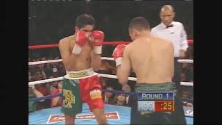 Oscar Dela Hoya Vs Rafael Ruelas  HIGHLIGHTS 4K [upl. by Tinya186]