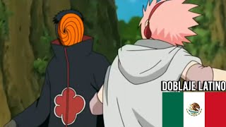 Tobi Humilla al Equipo Kakashi Naruto Shippuden Doblaje Latino [upl. by Akkeber]