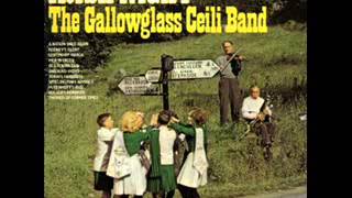 The Gallowglass Ceili Band  Irish Night [upl. by Sheela]