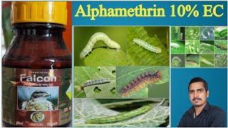 alphamethrin 10 ec uses in hindialphamethrin 10 ecalphamethrin 10 ec tamil [upl. by Attwood]