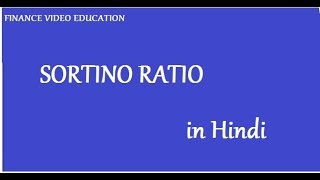 Sortino Ratio in Hindi [upl. by Mercedes]