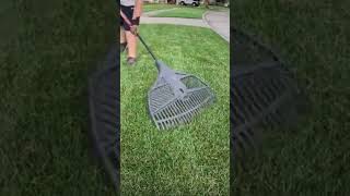 WEN Lawn Scarifier pulls up tons of hidden thatch [upl. by Darrell]