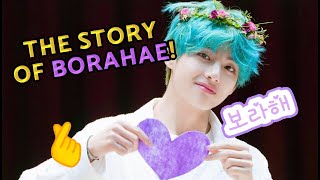 The Story of BORAHAE and its 𝗥𝗶𝗴𝗵𝘁𝘀 𝗖𝗼𝗻𝘁𝗿𝗼𝘃𝗲𝗿𝘀𝗶𝗲𝘀 💜😱 The meaning origin [upl. by Yrokcaz970]