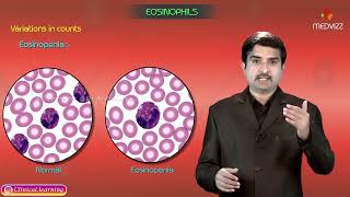 Eosinophils  Structure and Function  Blood Physiology [upl. by Hew515]