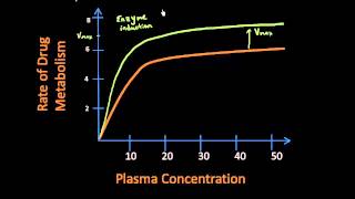 Enzyme Induction  Pharmacokinetics Lect 16 [upl. by Eilagam]