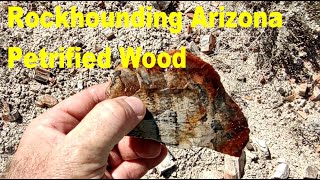 Rockhounding Arizona Secret Petrified Wood Collecting Site thefinders petrifiedwood agate [upl. by Erlene]