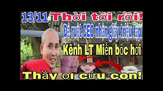 🔥Tin cực nong Quân sư của CEO LT Miễn đã bôc hơi Thời tới cản không nổi rồi [upl. by Bartie90]