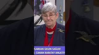 Canan Karatay quotŞeker Hastalığı Düzelirquot  Ezgi Sertelle Kadınlar Bilir shorts [upl. by Haon]