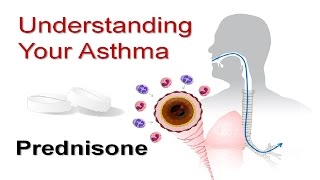 Understanding Your Asthma Part 5 Prednisone [upl. by Dikmen]