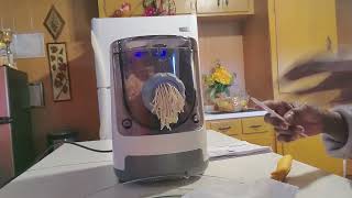 Its Pasta Homemade Pasta in my Hamilton Beach Pasta Maker Here at DeNises Essential Kitchen [upl. by Ainniz]