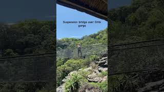 Oribi gorge suspension bridge southafrica [upl. by Frodi]