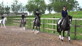 Talland School of Equitation [upl. by Thurmond454]