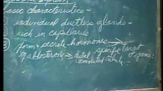 Integrative Biology 131  Lecture 36 Endocrine System [upl. by Welton]