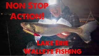 Shore Lake Erie Walleye Fishing Limited Out [upl. by Neeruan]