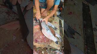 Amazing fish cutting skills 😱 episode335 shorts [upl. by Reivaj]