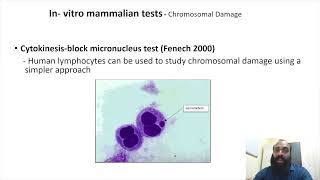 Genotoxicity and mutagenicity testing III Part 8 [upl. by Bleier]