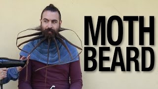 Moth Beard  A HowTo Time Lapse Video [upl. by Zumstein740]