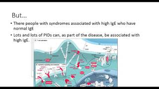 The Various Hyper IgE Syndromes HIES [upl. by Uhthna736]