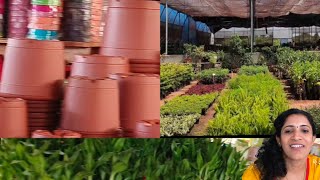 Garden Vlog Part 2  gardenplants viralvideo subscribe [upl. by Fritts]