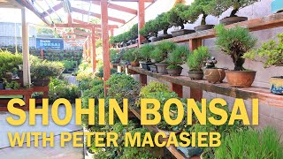 Shohin Bonsai Collection Tour with Peter Macasieb [upl. by Schnurr265]