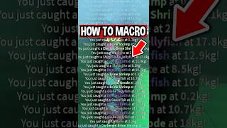 How To MACRO in Roblox Fisch [upl. by Aiahc111]