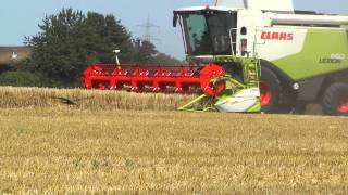 Claas Lexion 660 und Claas Lexion 540 dreschen WintergersteHD [upl. by Ainaznat383]