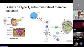 Parlons DT1  Thérapie cellulaire 20241024 [upl. by Teiluj]
