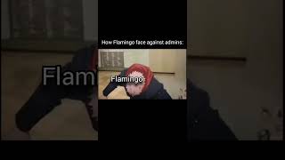 Flamingos every admin video [upl. by Ahseinod695]