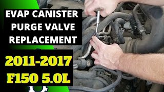 EVAP Canister Purge Valve Replacement 20112017 F150 50L [upl. by Bone267]