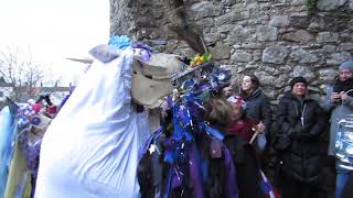 Chepstow Mari Lwyd and Wassail 20th January 2024 [upl. by Ahsiei]