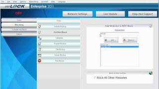 How To Whitelist Websites [upl. by Eleon]