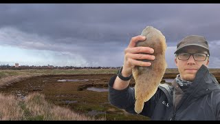 Fishing a Suffolk River  Sole amp Dogfish catch amp cook [upl. by Warton]